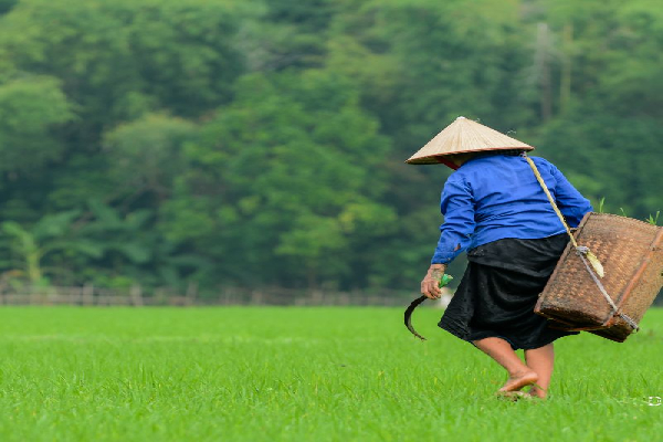 3D 2N Pu Luong Featured Tour: Serenity and Discovery Amidst Nature - photo 23